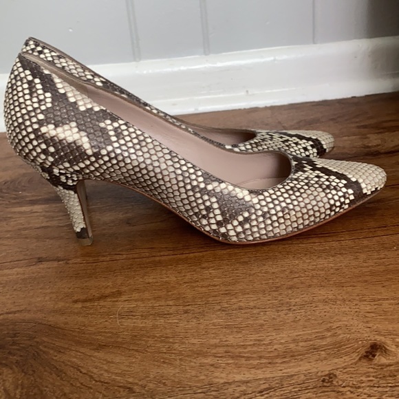 Salvatore Ferragamo Snakeskin Kitten Heels, 6.5 - Picture 6 of 8